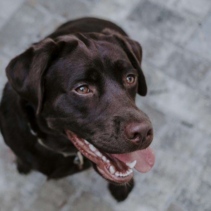 Landscape day trip near Florence, Italy