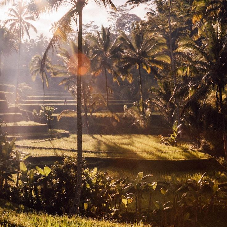 Outdoor terrace seating suitable for families in Florence